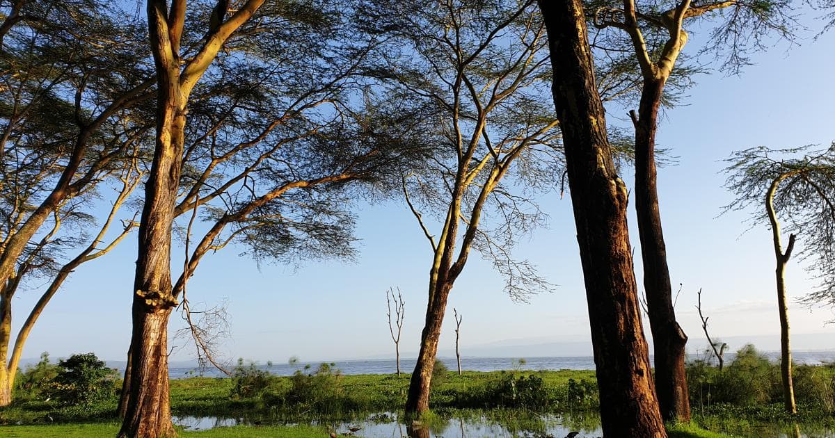 Zona de acampada del Fishermans Camp junto al lago Naivasha