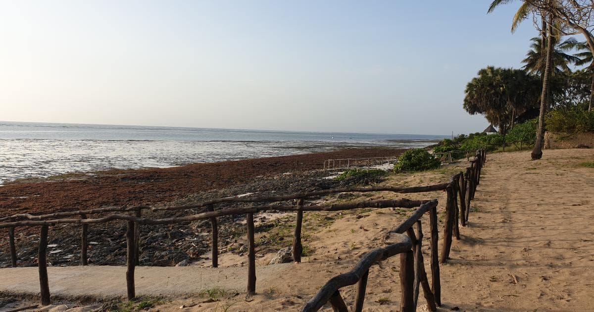 La Coral Beach... llena de corales muertos... definitivamente de las peores partes de la gran Diani