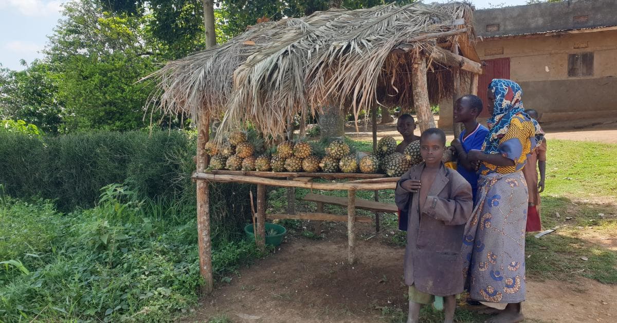 La fruta que puedes comprar en la carretera es excelente