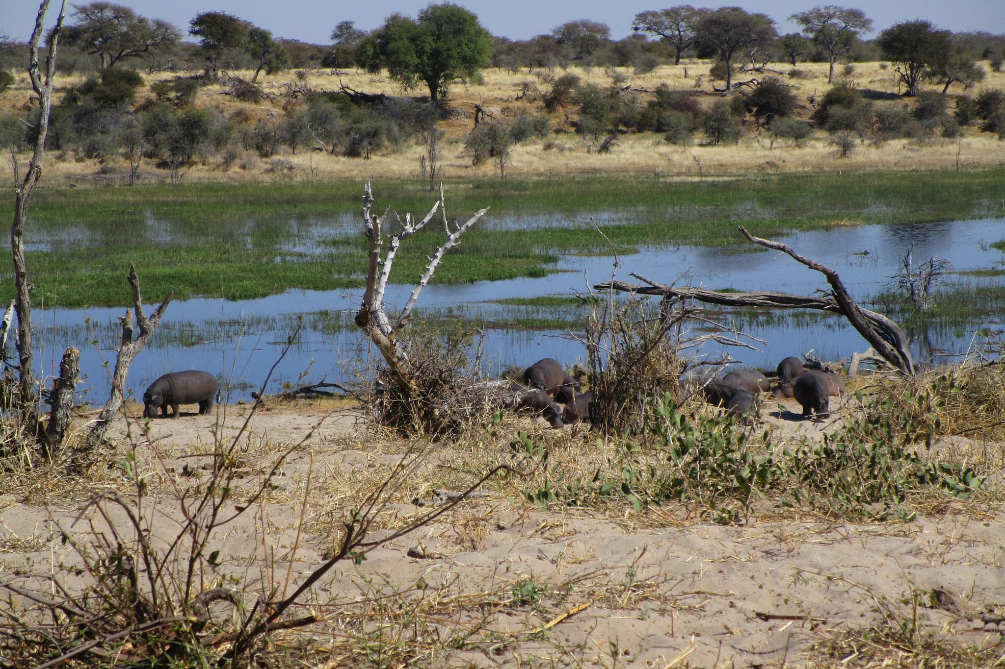 Gweta, Xarathiwa Pan y Parque Nacional Magkadigadi