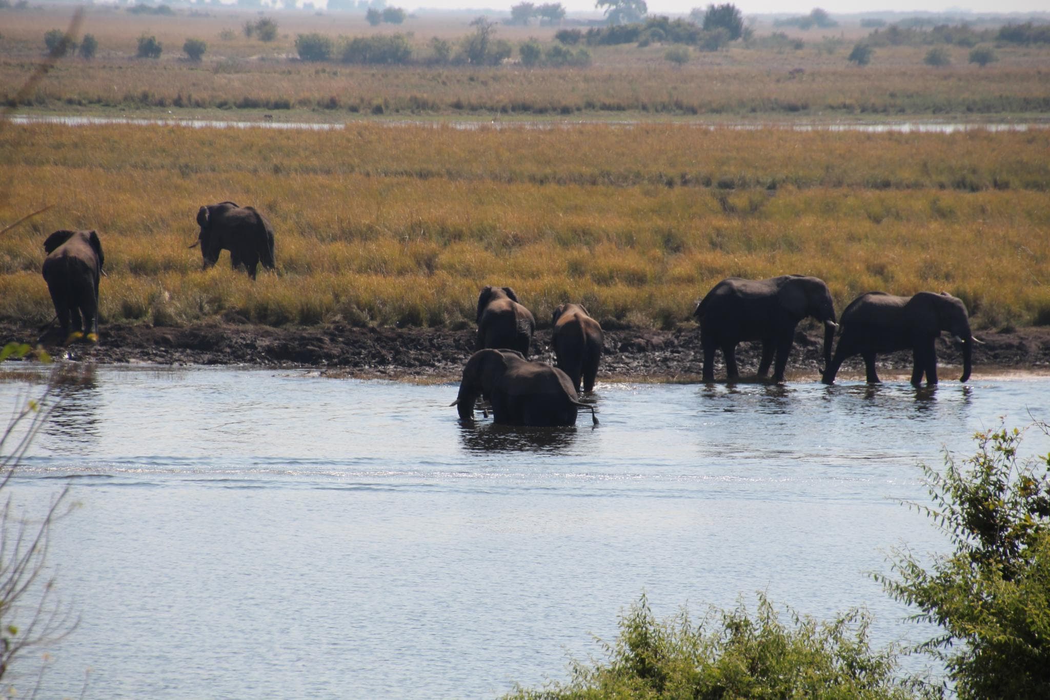 Kasane, Chobe Riverfront