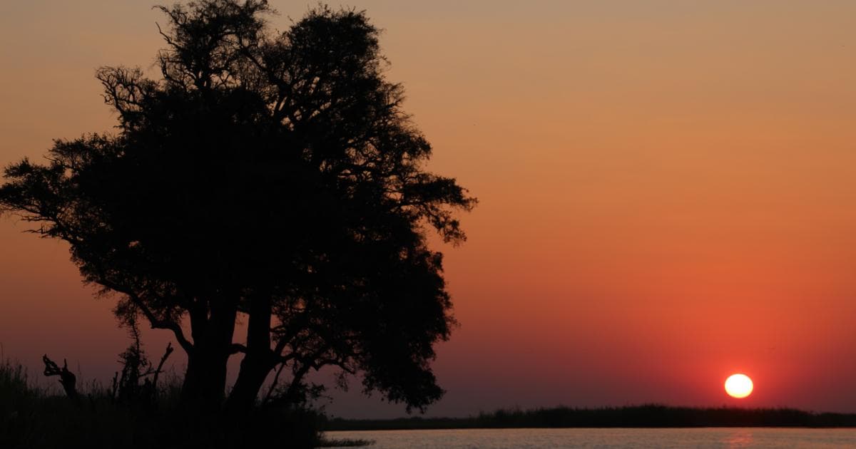 Impresionante atardecer en el Chobe
