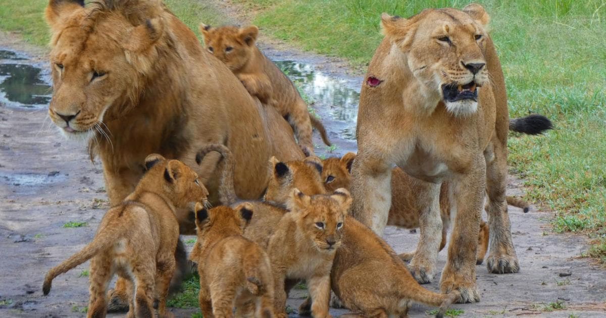 La familia unida, jamás será vencida