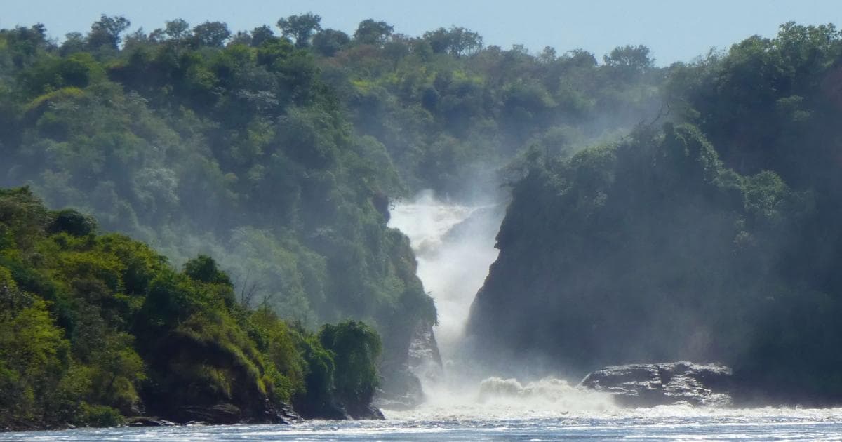 ¡No podían faltar las cataratas, las Murchison Falls, el nacimiento del Nilo!