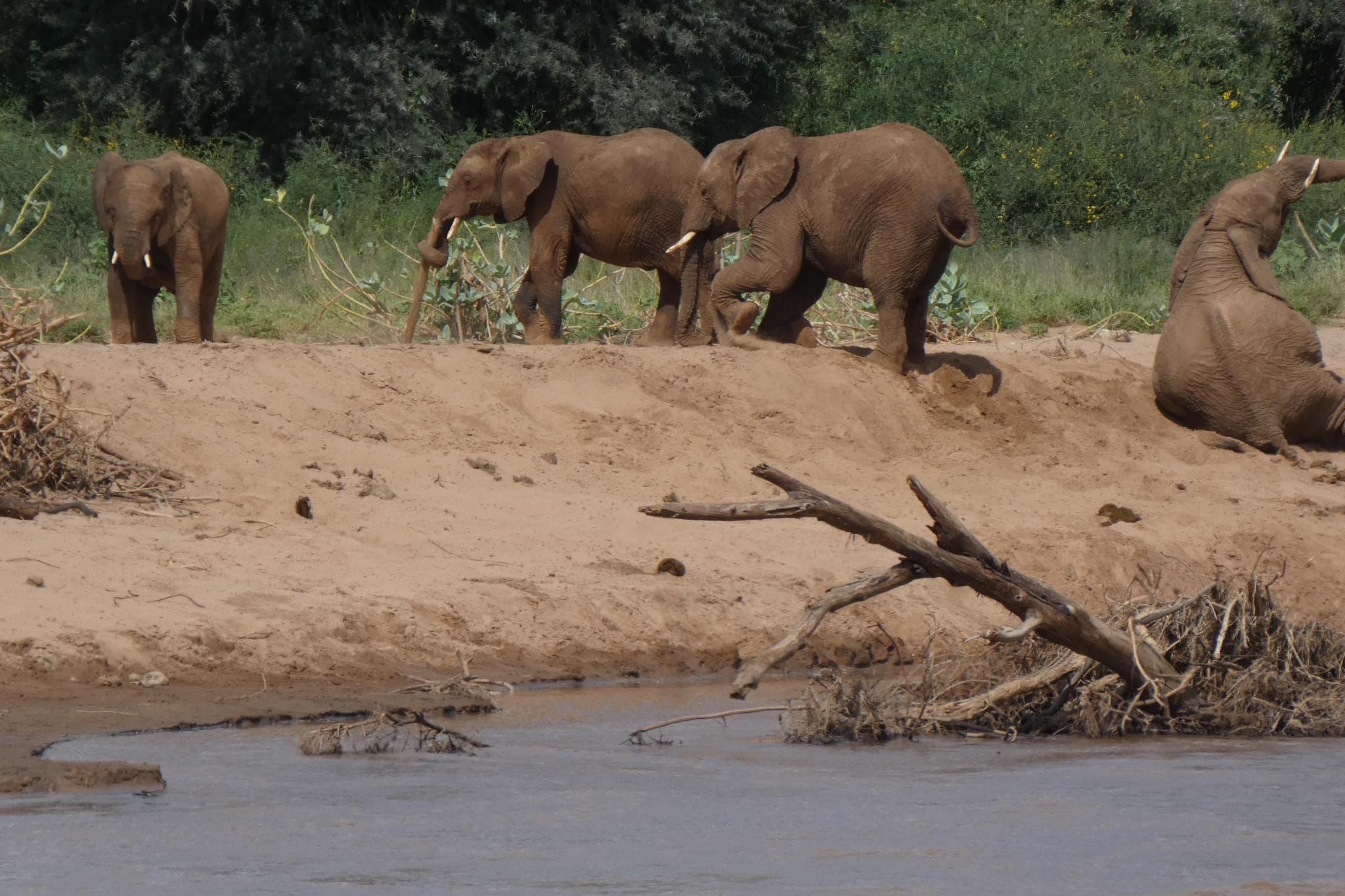 Reserva Nacional de Samburu y poblado Samburu