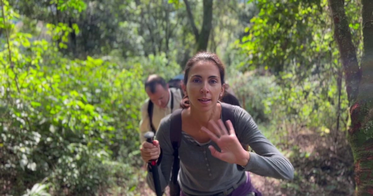 Casi dos horas de trecking por Bwindi para llegar donde los gorilas