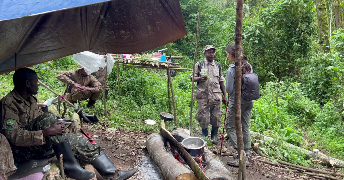 A la vuelta visitamos el campamento de los rangers de Bwindi
