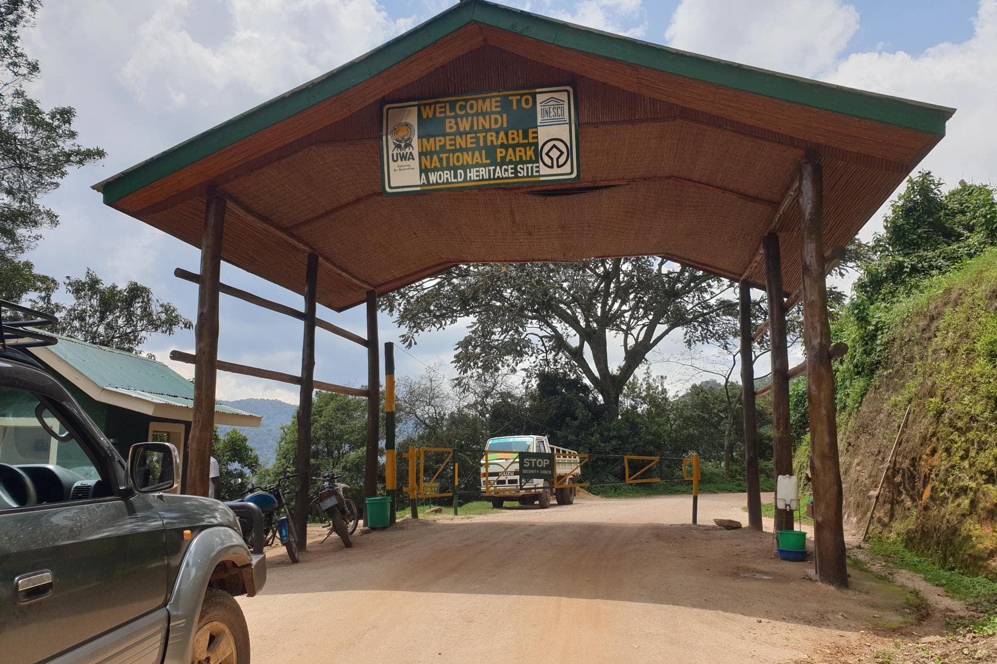 Día 4: Rumbo a Ruhija, Bwindi Impenetrable National Park