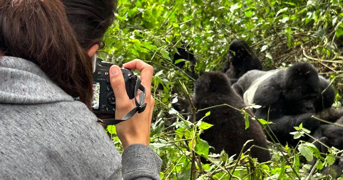 ¡Estábamos a tan solo dos metros de los gorilas!
