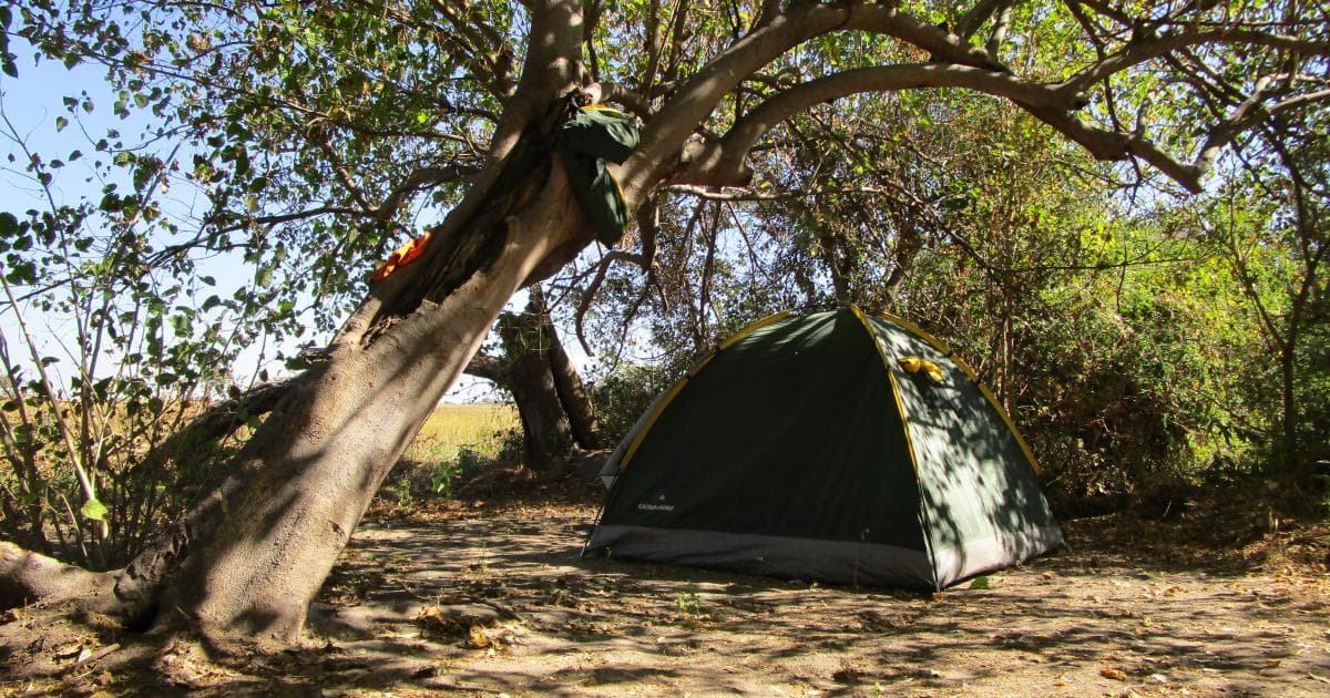 La tienda de campaña que nos dejaron en Maún, bajo el árbol que Trompo consideró seguro para acampar